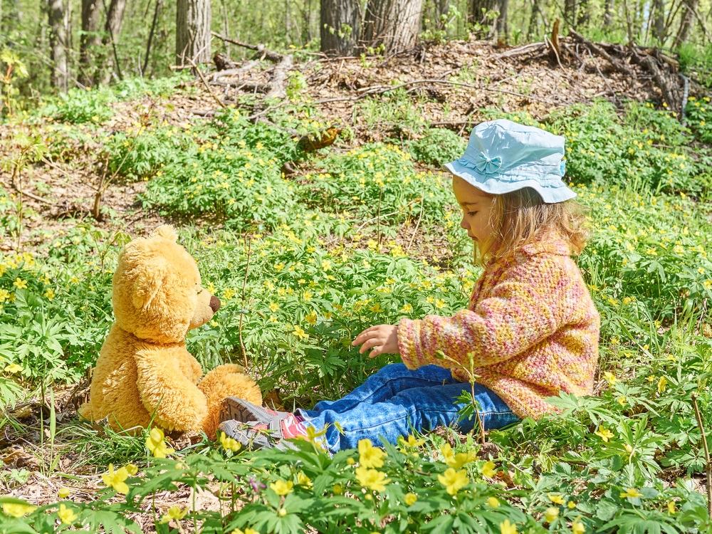 child-forest-toy-teddy-bear-compressed